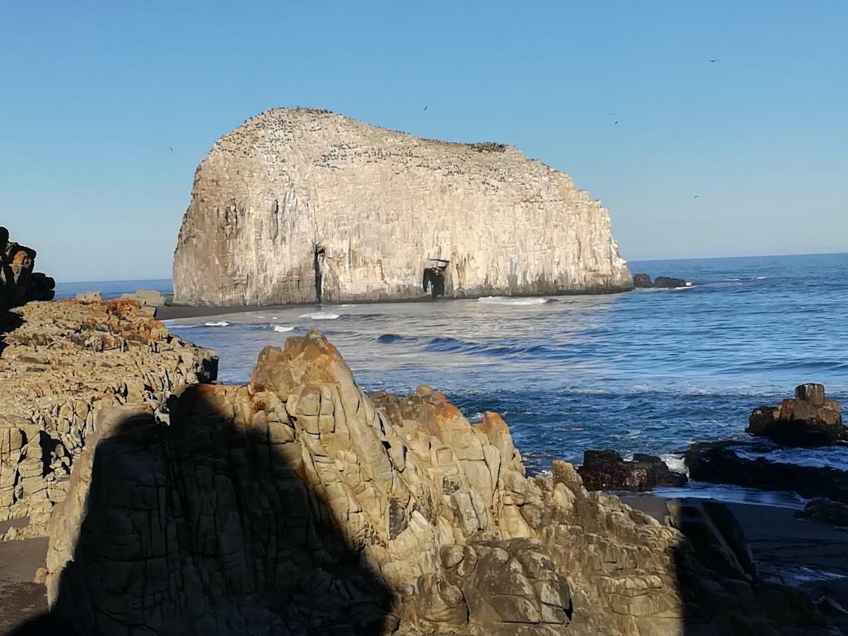 Hostal Casona Del Cerro Constitución المظهر الخارجي الصورة